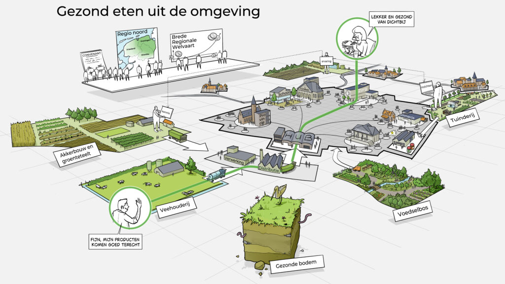 Visualisatie van de regionale voedselketen