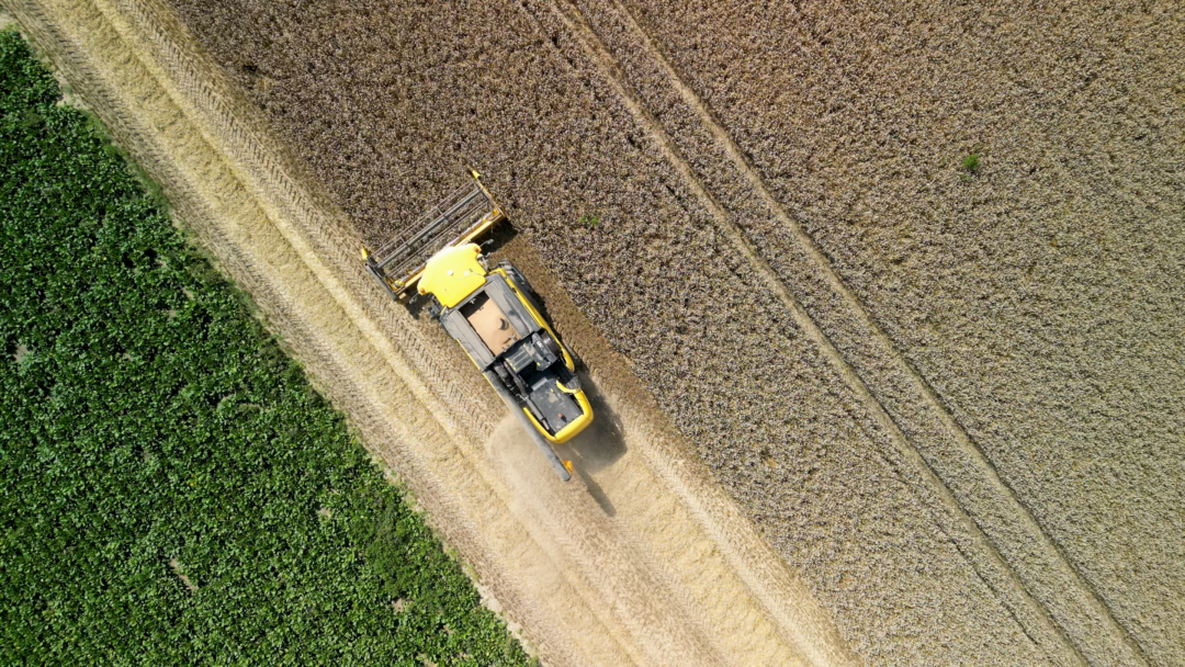 Een gele tractor van boven aanzicht maait het graan. 