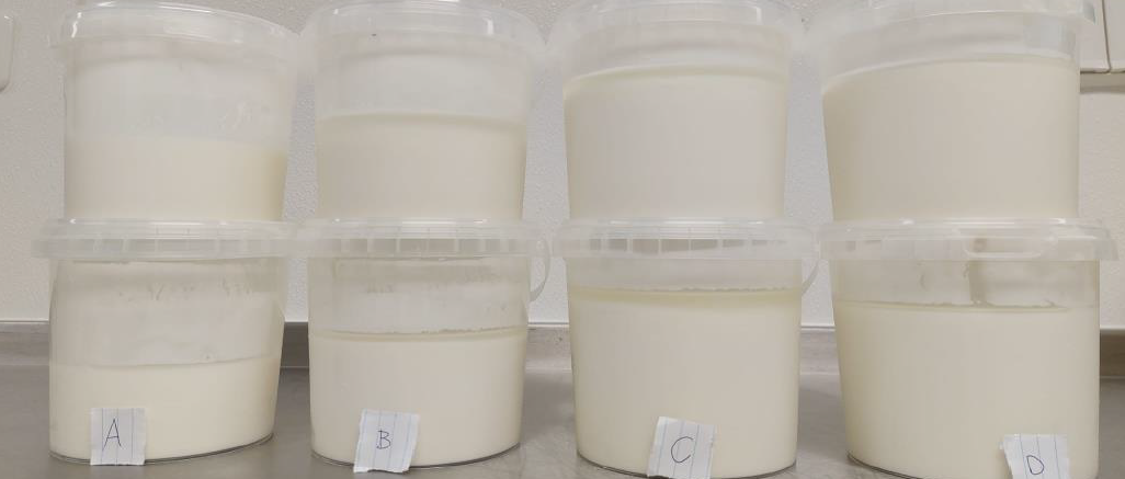 Vier potjes met een combinatie van melk- en plantaardigeiwit.