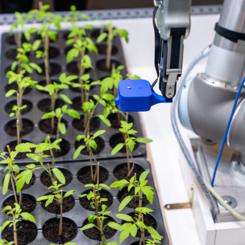 Robot analyseert planten